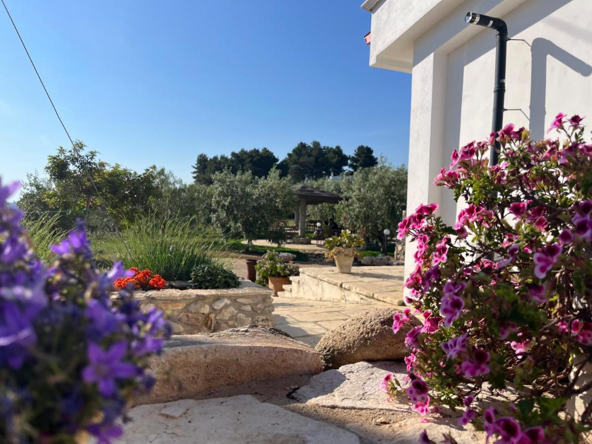 B&B Le Cicale Vieste Luaran gambar