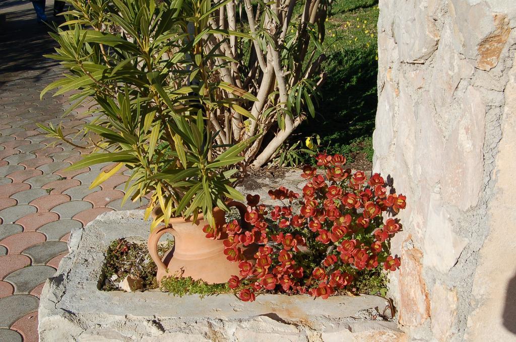 B&B Le Cicale Vieste Luaran gambar